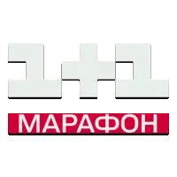1+1