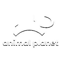 Animal Planet HD