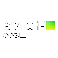 Bridge TV Фрэш