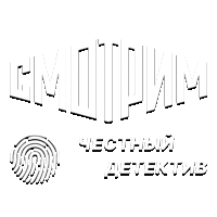 Честный детектив