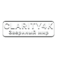 Clarity4K Звериный мир
