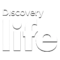 Discovery Life [PL]