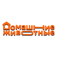 Домашние животные