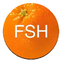 Fresh TV
