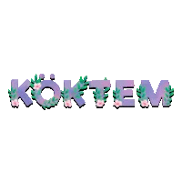 Köktem