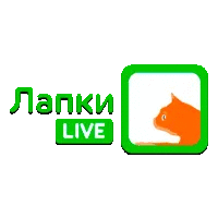 Лапки Live