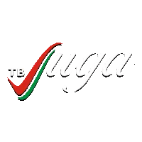 Лида