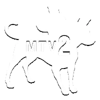 MTV 2 [US]