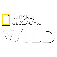 Nat Geo Wild