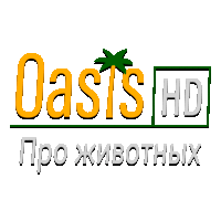 Oasis Animals