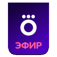 Okko.Чемпионат