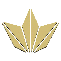 Премиальное SD