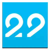Регион 29