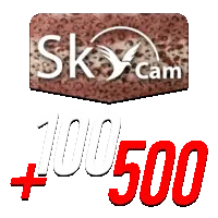 SkyCam +100500