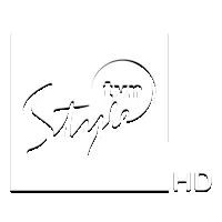 TVN Style HD