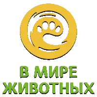 В мире животных HD