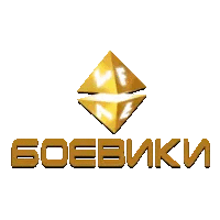 VF Боевик