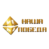 VF Наша победа