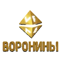 VF Воронины